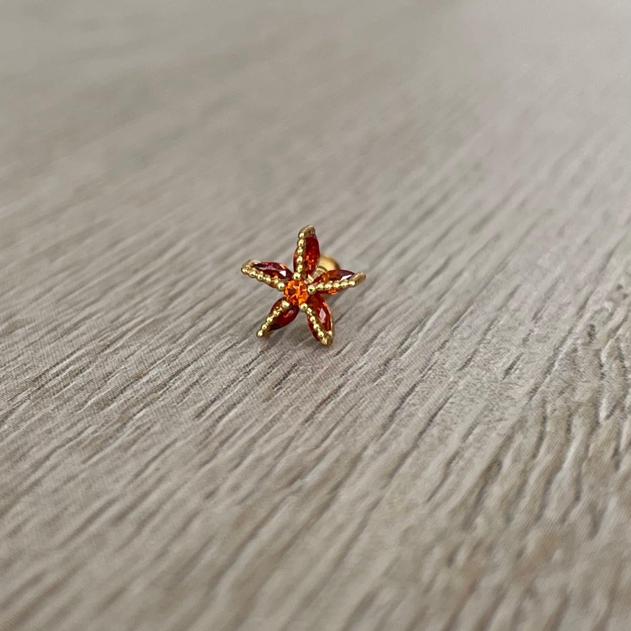 Cute Ocean Themed Stud Piercings-Cartilage Earring-Elara Body Jewelry