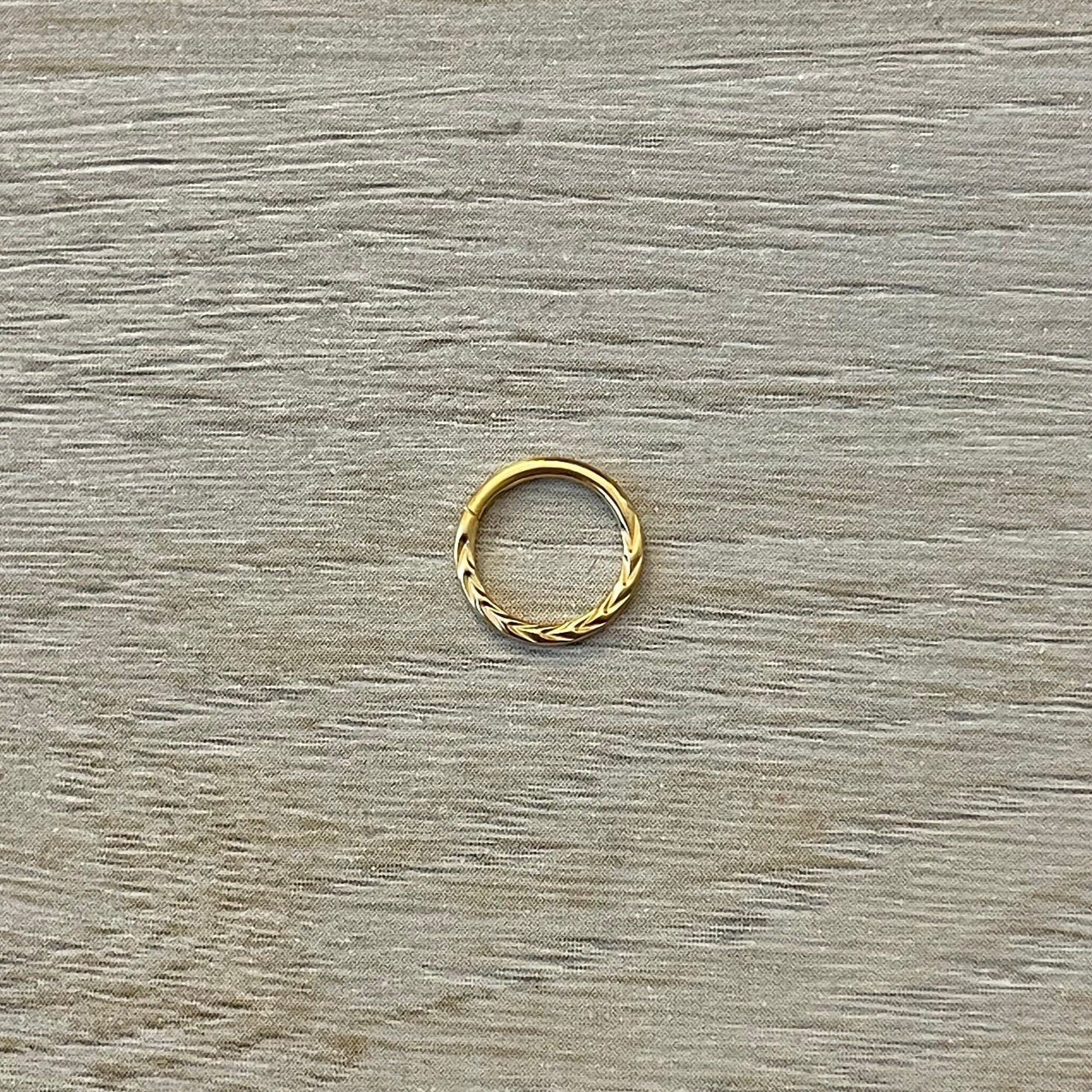 Le Minimaliste Septum Ring-Septum Ring-Elara Body Jewelry