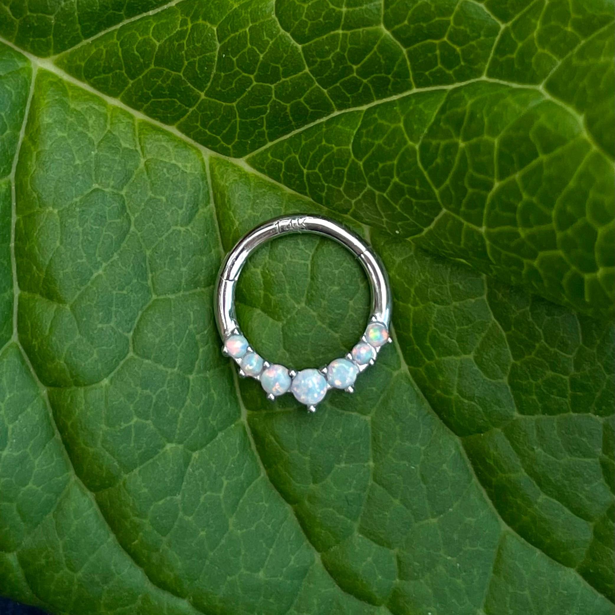 Lune d’Opale Daith Earring-Daith Earring-Elara Body Jewelry