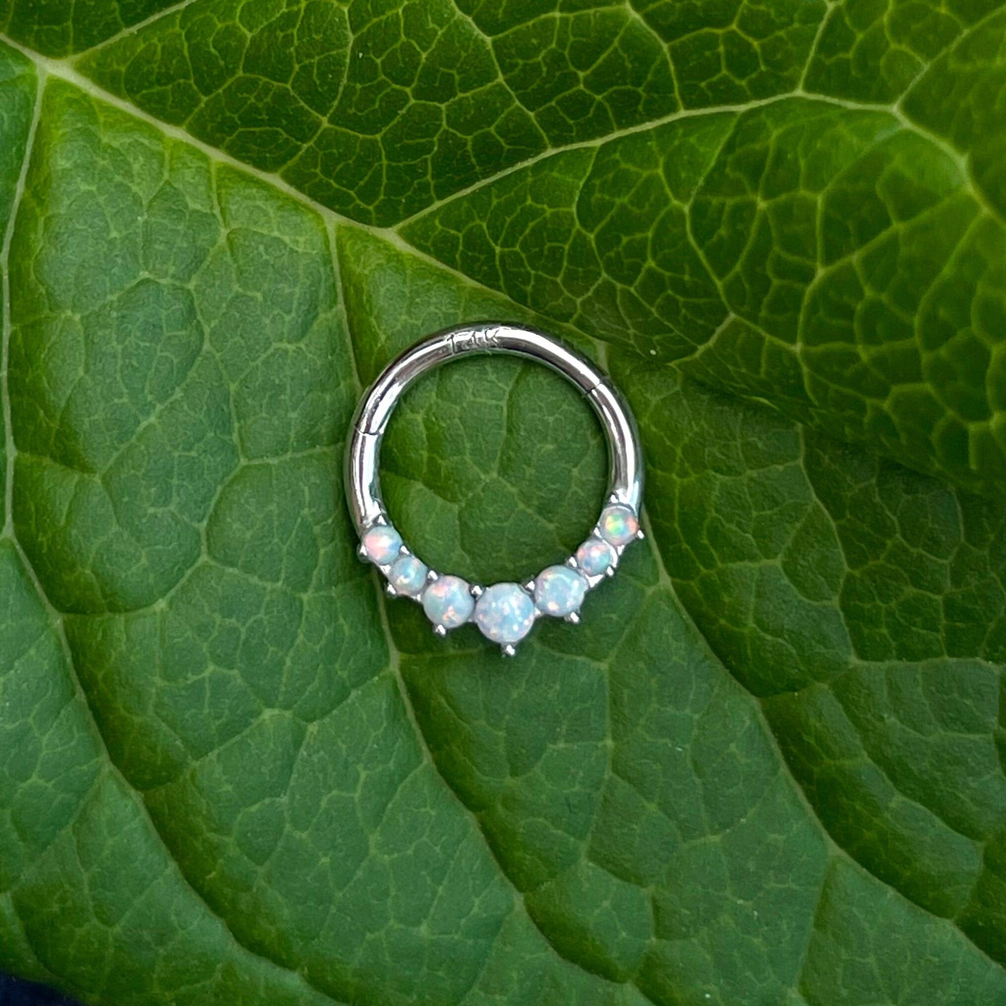 Lune d’Opale Daith Earring-Daith Earring-Elara Body Jewelry