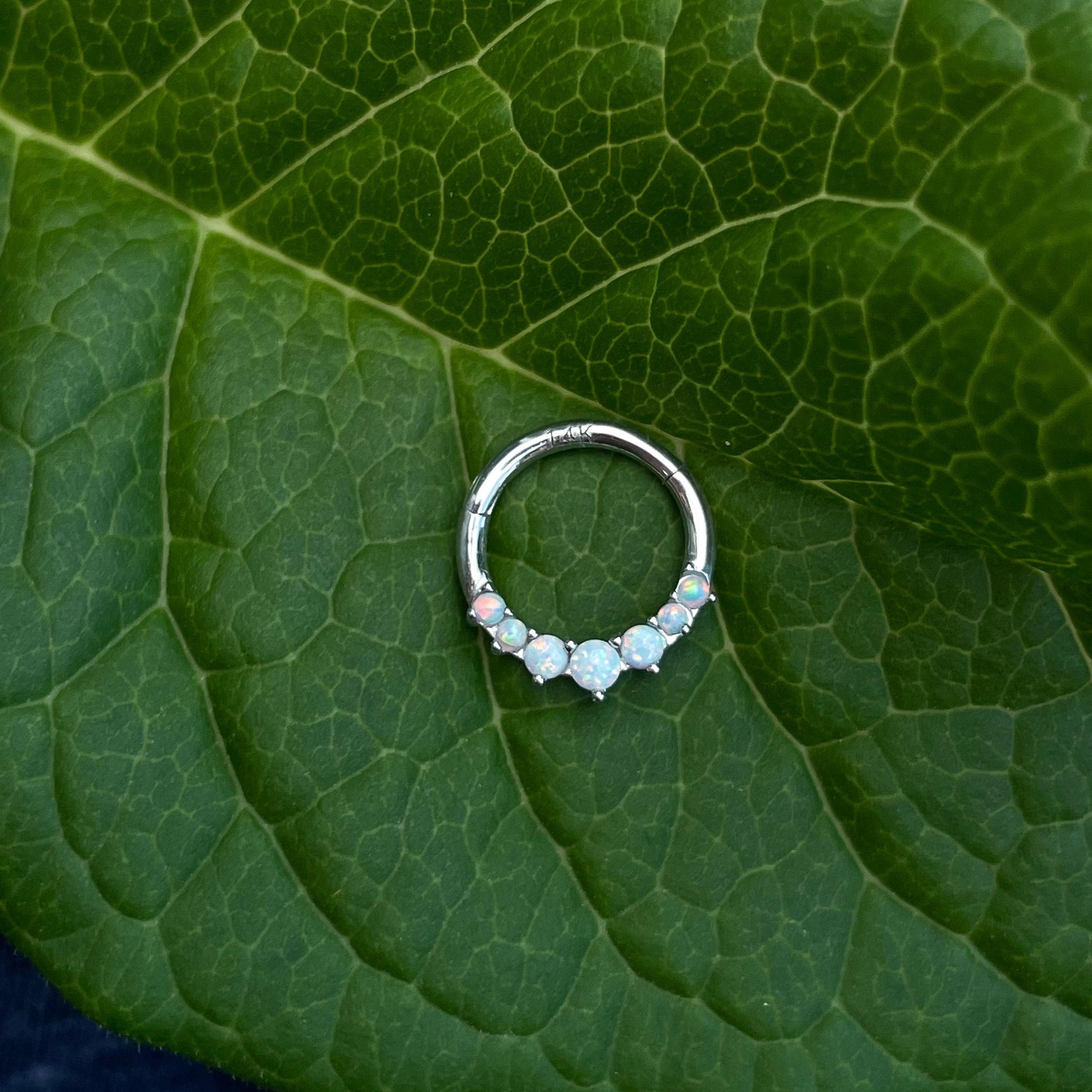 Lune d’Opale Daith Earring-Daith Earring-Elara Body Jewelry