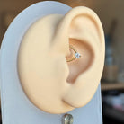 Crystal Tear Daith Earring-Daith Earring-Gold-8mm Diameter-Elara Body Jewelry