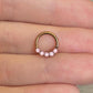 Rose Gold Pink Illuminated Daith Earring (8mm, 16G or 18G, Surgical Steel)