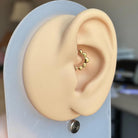 Sweetheart's Bloom Daith Earring-Daith Earring-Gold-Elara Body Jewelry