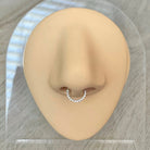 Crystal Halo Septum Ring-Septum Ring-Gold-18G/8mm Diameter-Elara Body Jewelry