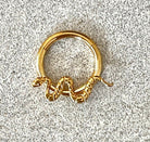 Snake Titanium Daith Earring (16G, 8mm or 10mm, Implant-Grade Titanium)