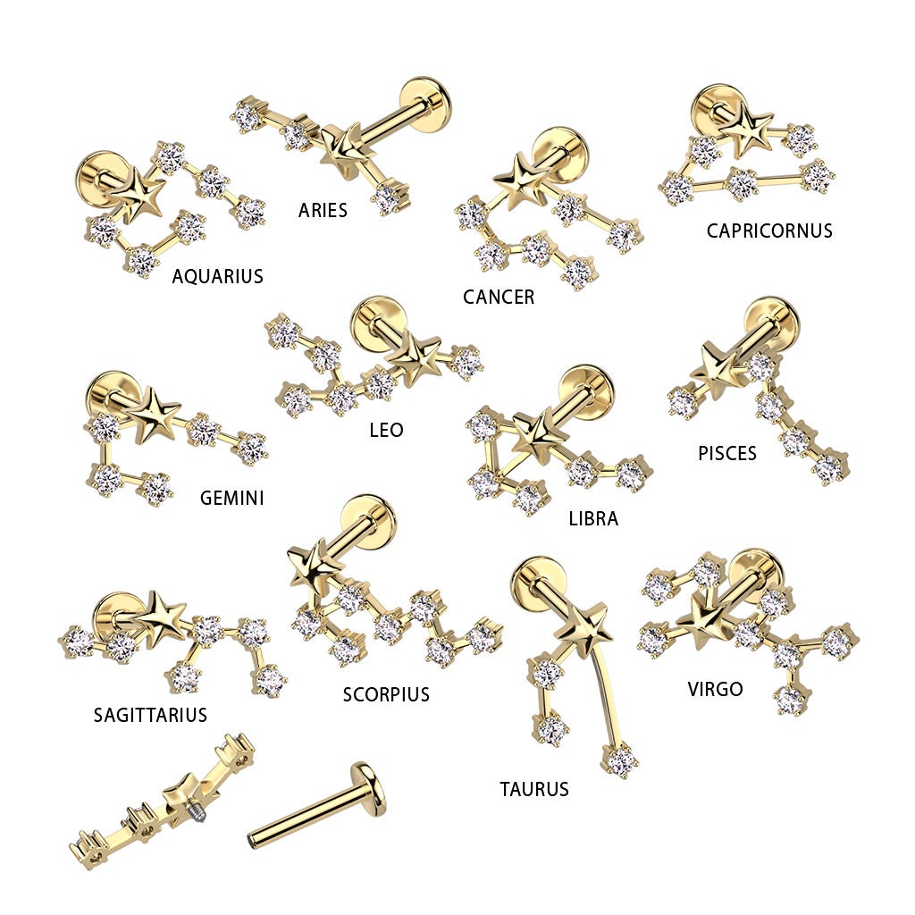 Zodiac Constellation Flat Back Stud (16G or 18G | 8mm Bar | 14k Gold Plated)