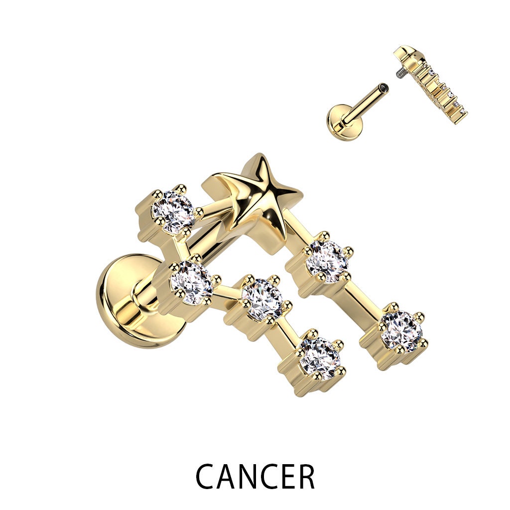 Zodiac Constellation Flat Back Stud (16G or 18G | 8mm Bar | 14k Gold Plated)