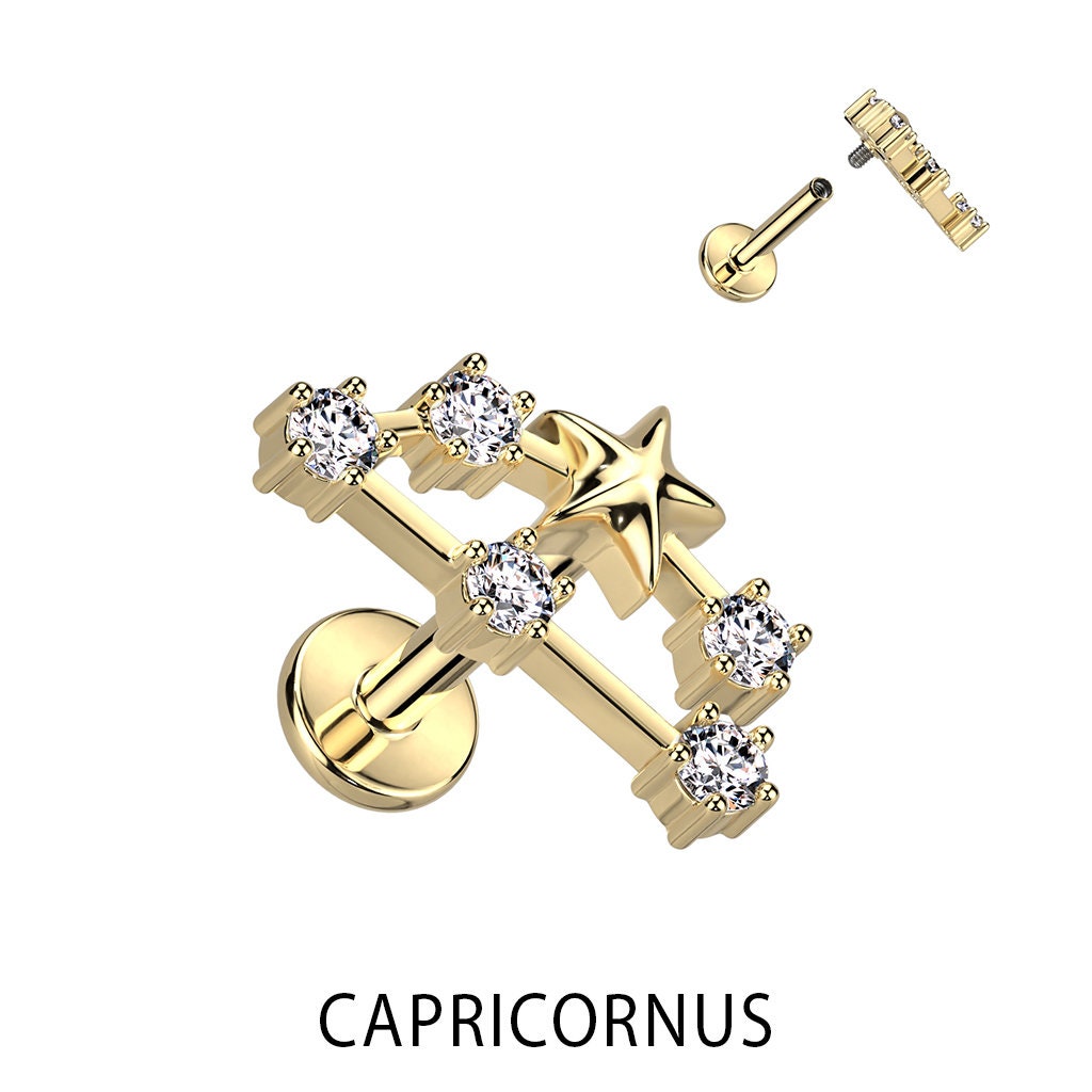 Zodiac Constellation Flat Back Stud (16G or 18G | 8mm Bar | 14k Gold Plated)