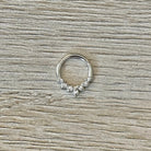 Dainty Silver Septum Piercing (16G, 8mm, Surgical Steel)
