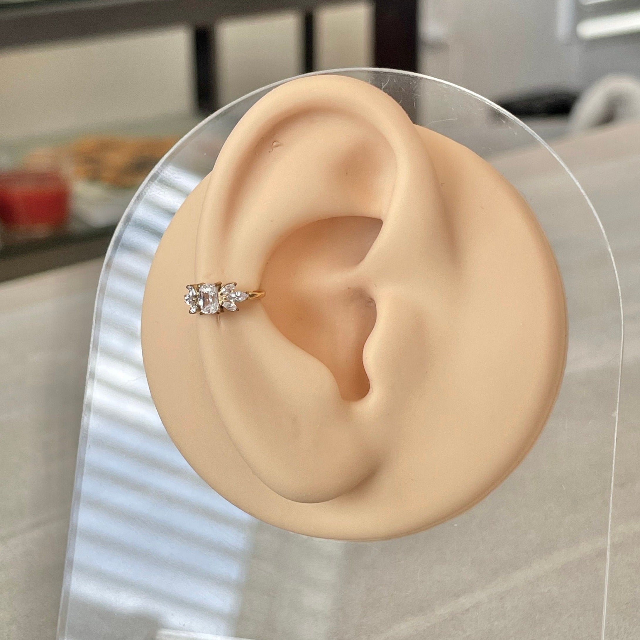Gold Conch or Helix Earring (16G | 8mm or 10mm | Titanium | Silver or Gold)