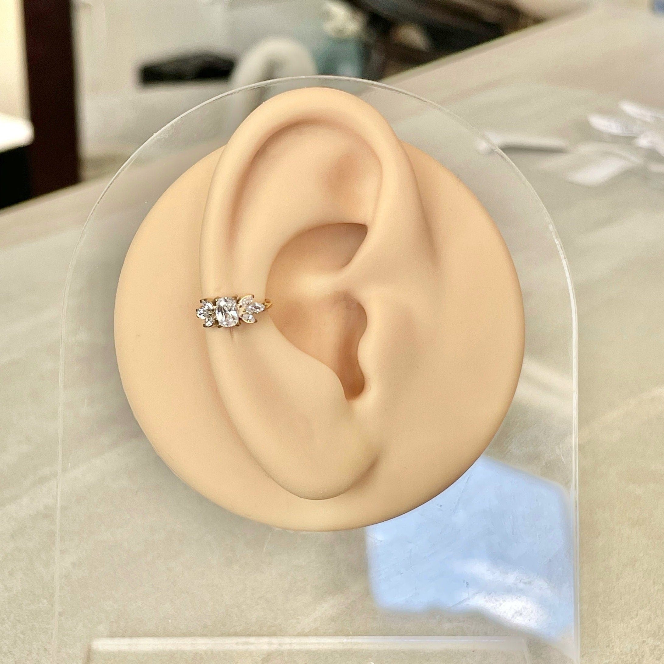 Gold Conch or Helix Earring (16G | 8mm or 10mm | Titanium | Silver or Gold)