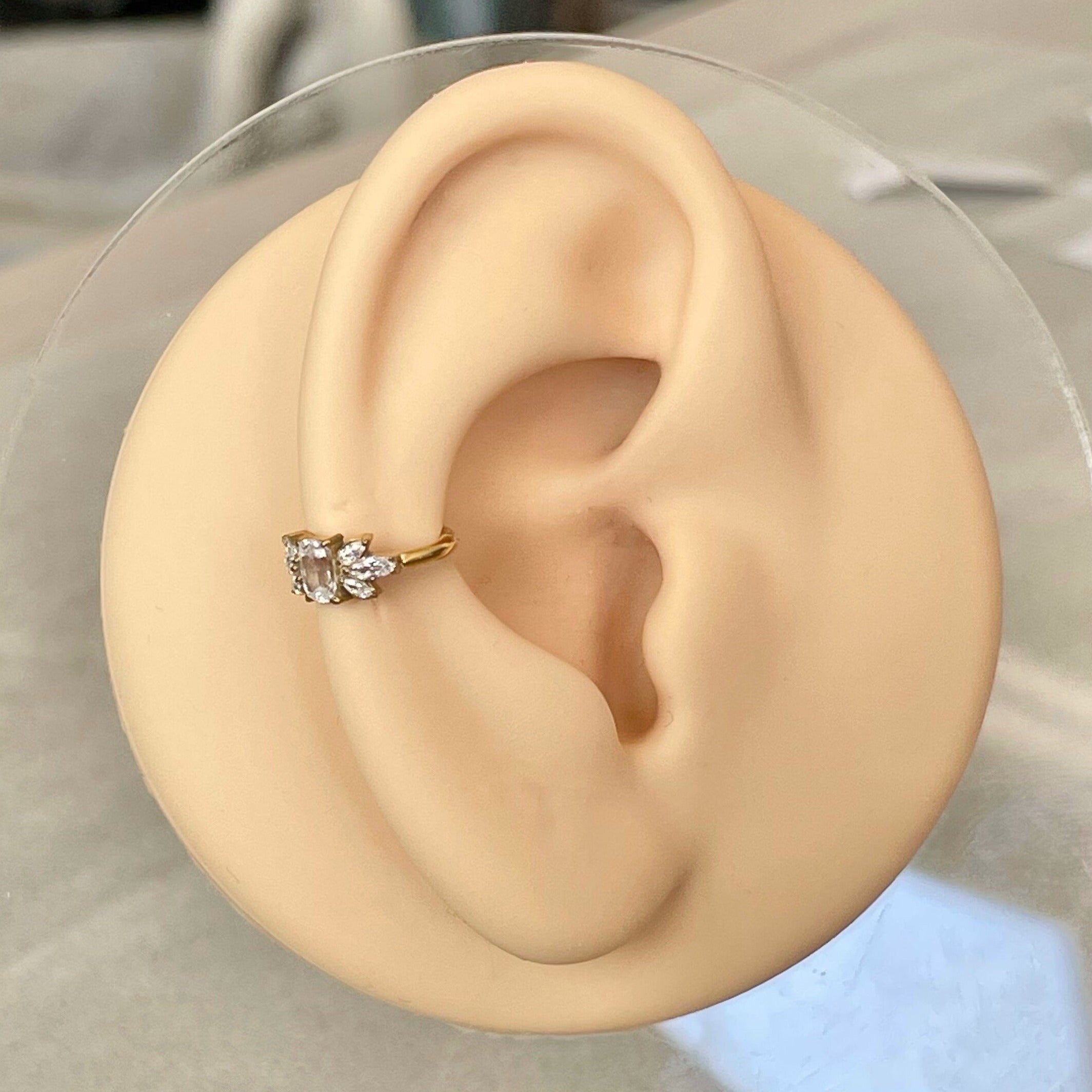 Gold Conch or Helix Earring (16G | 8mm or 10mm | Titanium | Silver or Gold)